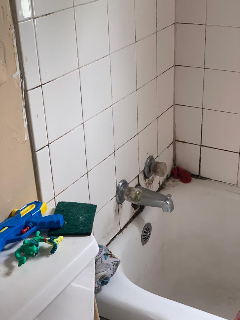 Bathroom Remodeling Before